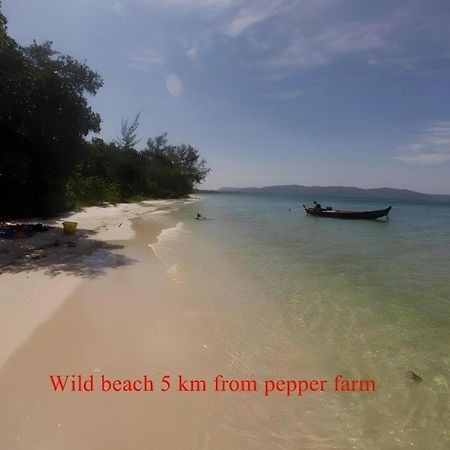 Pepper Farm Phu Quoc Bungalow Ngoại thất bức ảnh