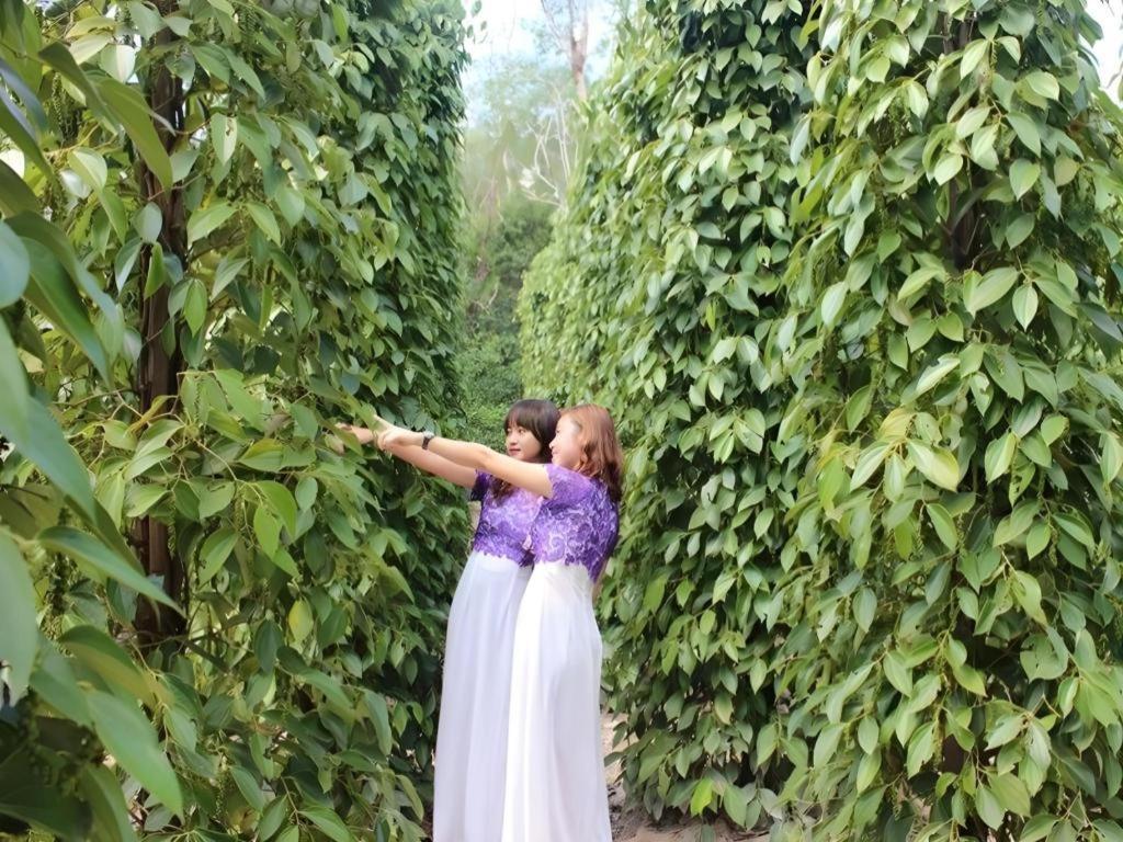 Pepper Farm Phu Quoc Bungalow Ngoại thất bức ảnh
