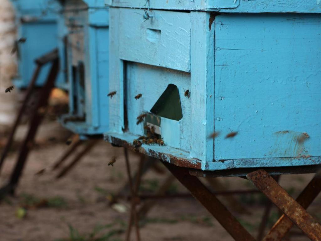 Pepper Farm Phu Quoc Bungalow Ngoại thất bức ảnh