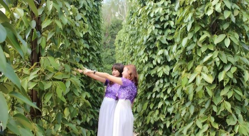 Pepper Farm Phu Quoc Bungalow Ngoại thất bức ảnh