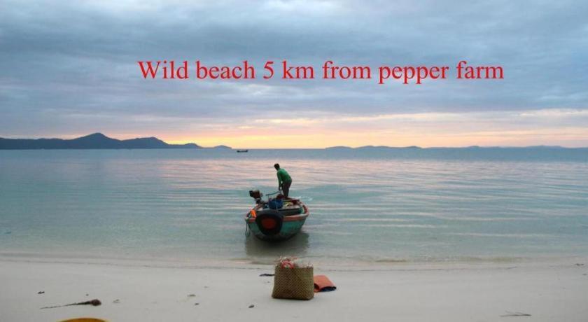 Pepper Farm Phu Quoc Bungalow Ngoại thất bức ảnh