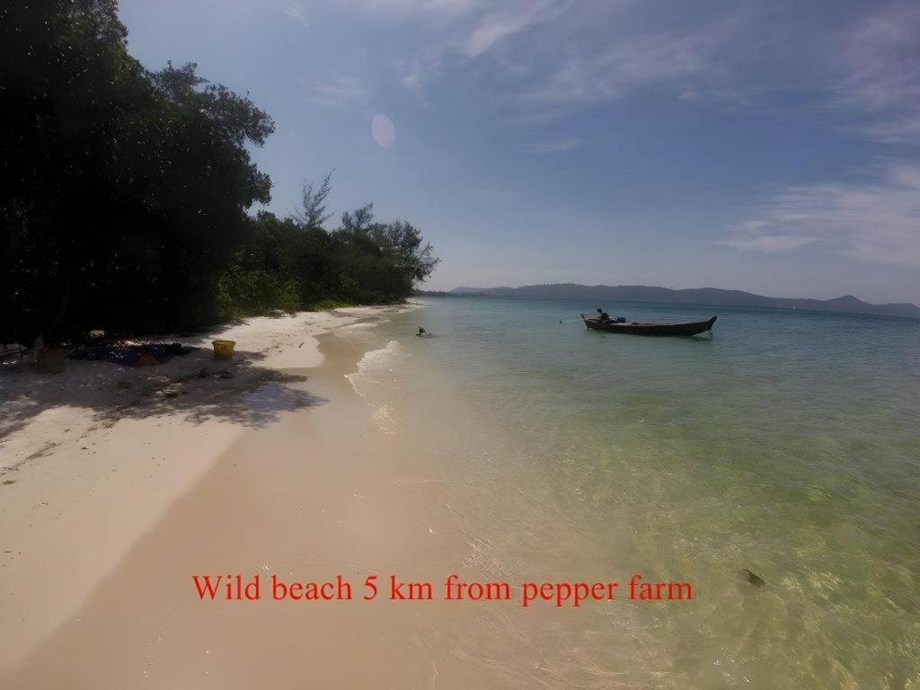 Pepper Farm Phu Quoc Bungalow Ngoại thất bức ảnh