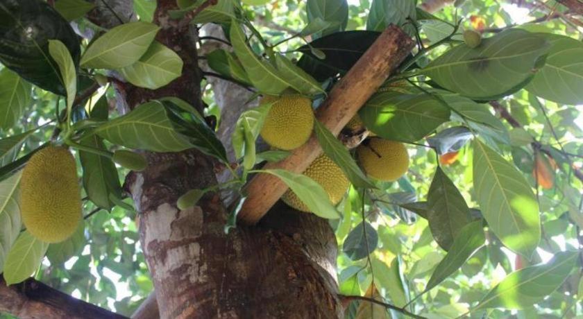 Pepper Farm Phu Quoc Bungalow Ngoại thất bức ảnh